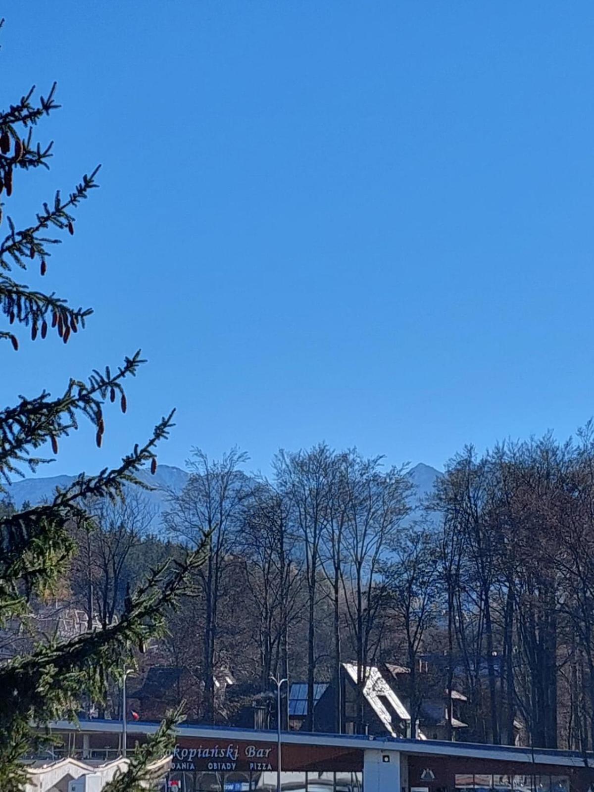 Goscinne Centrum Brzozowa 14 Zakopane