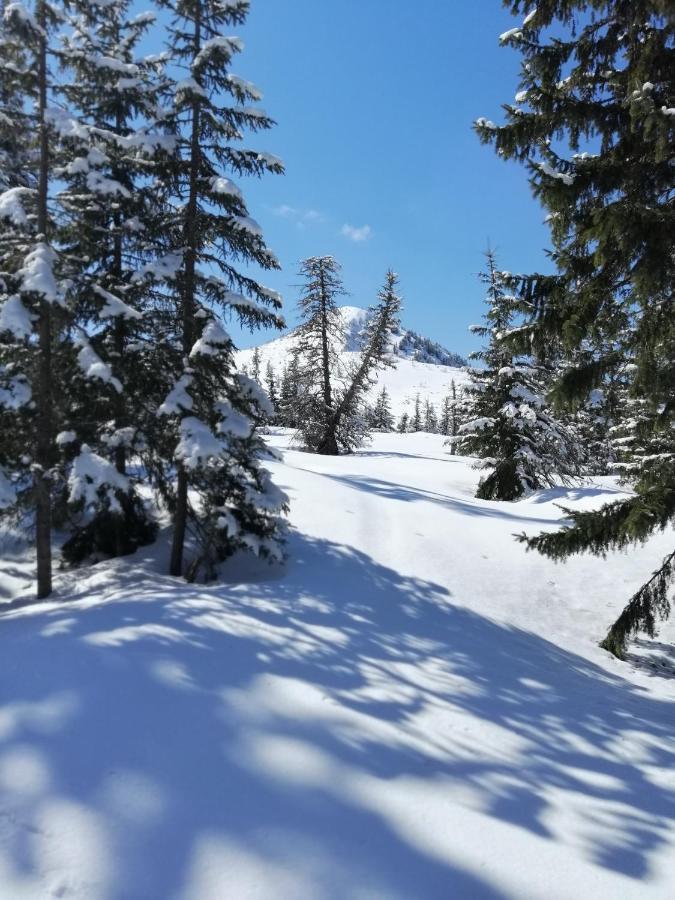 Goscinne Centrum Brzozowa 14 * Zakopane