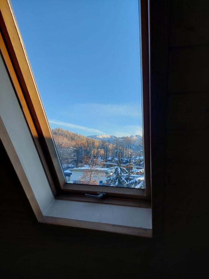 Goscinne Centrum Brzozowa 14 Homestay
