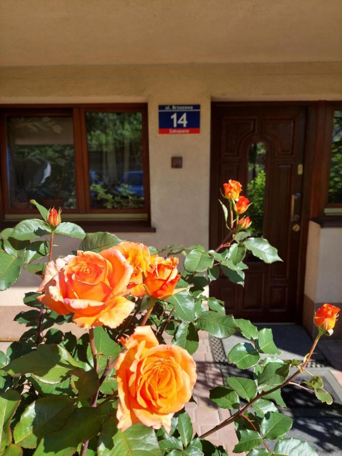 Goscinne Centrum Brzozowa 14 Homestay